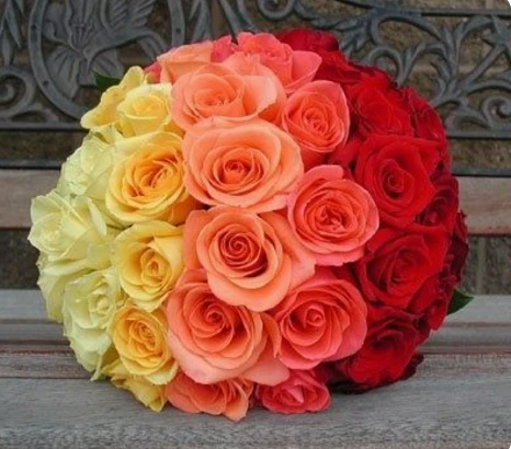 10 dingen die je niet wist over bloemen Boeketcadeau.nl